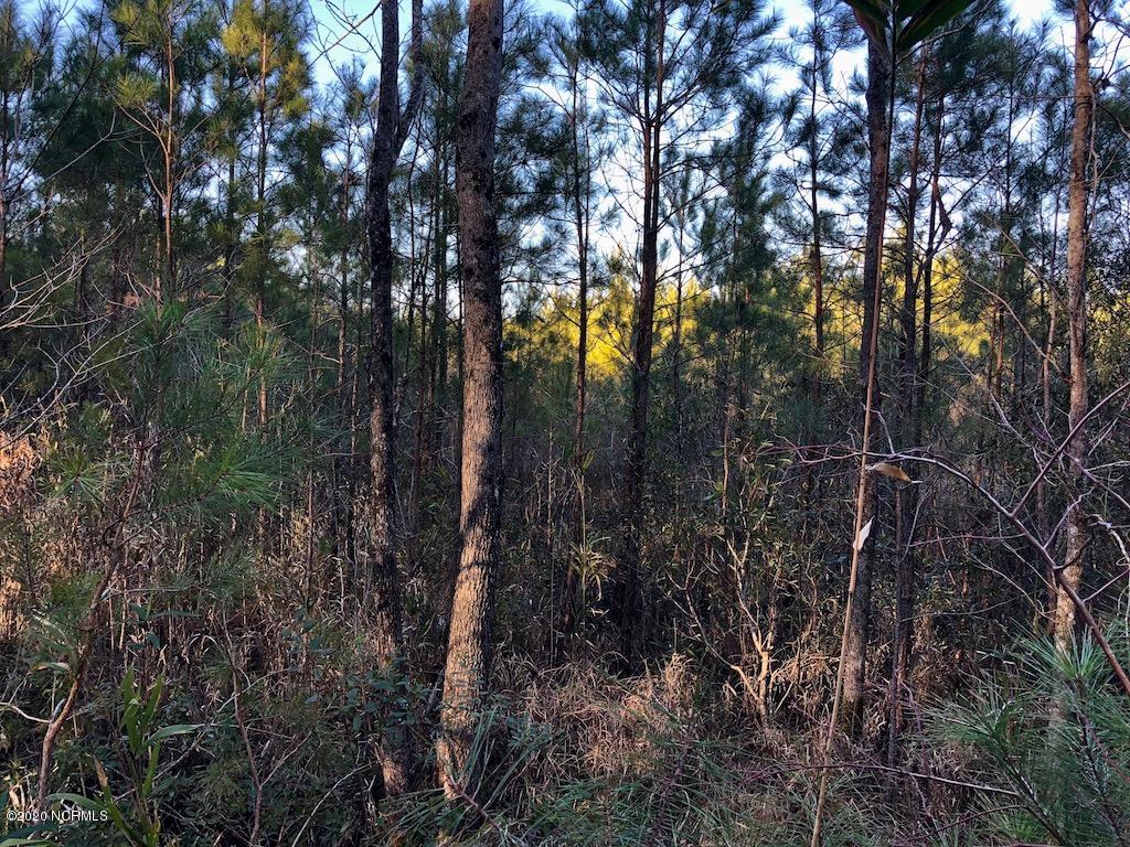 1 Goat Neck Road Columbia, NC 27925 - Photo 20 of 23 IMG_1686