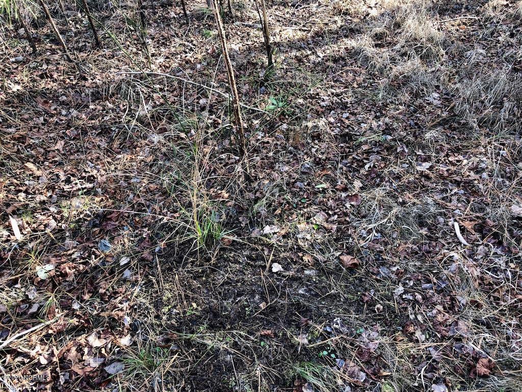 1 Goat Neck Road Columbia, NC 27925 - Photo 21 of 23 IMG_1691