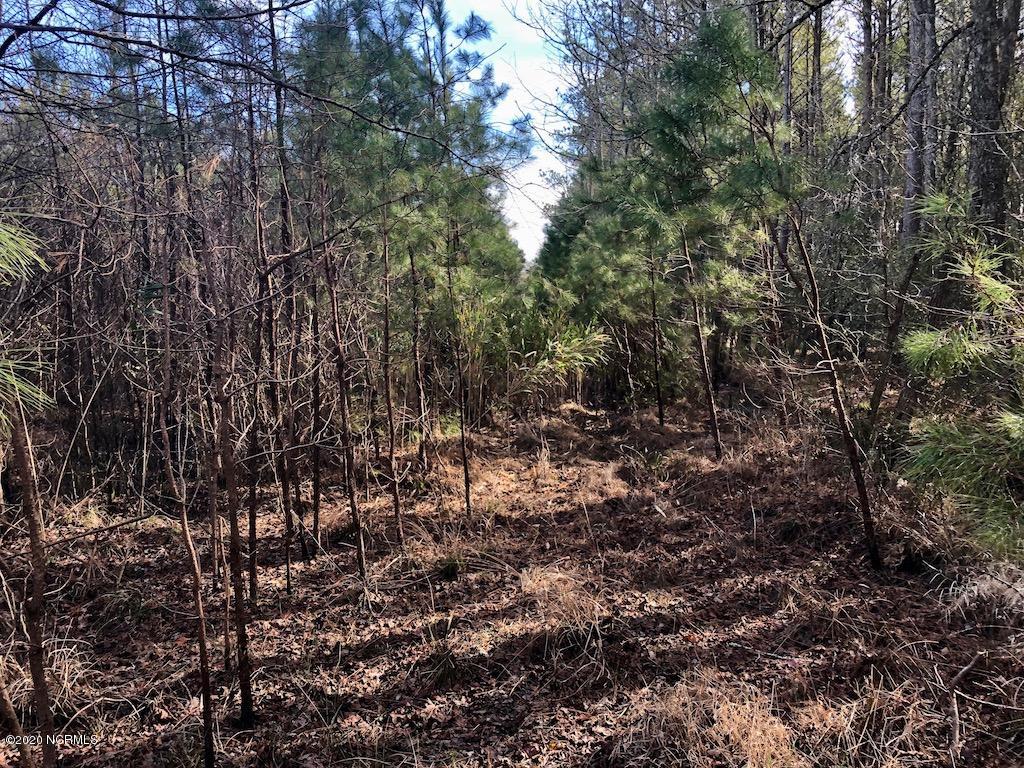 1 Goat Neck Road Columbia, NC 27925 - Photo 22 of 23 IMG_1694