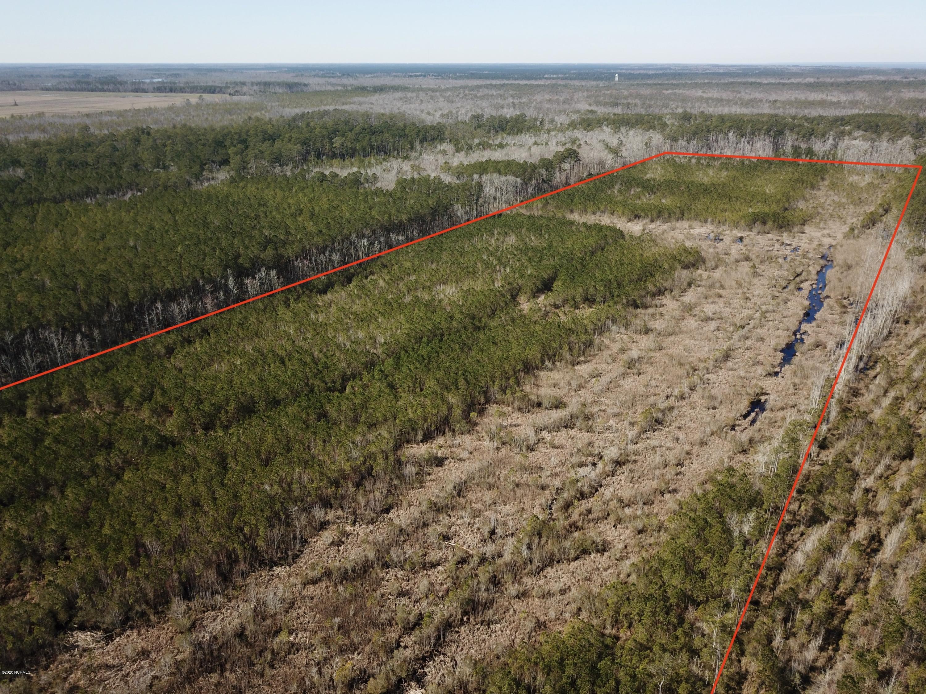1 Goat Neck Road Columbia, NC 27925 - Photo 3 of 23 DJI_0012
