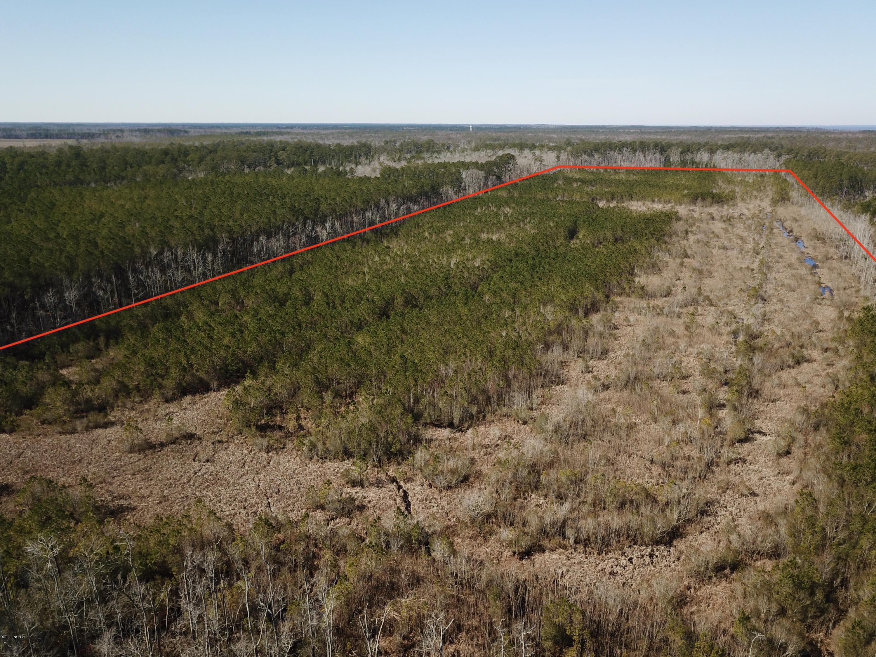 1 Goat Neck Road Columbia, NC 27925 - Photo 4 of 23 DJI_0015