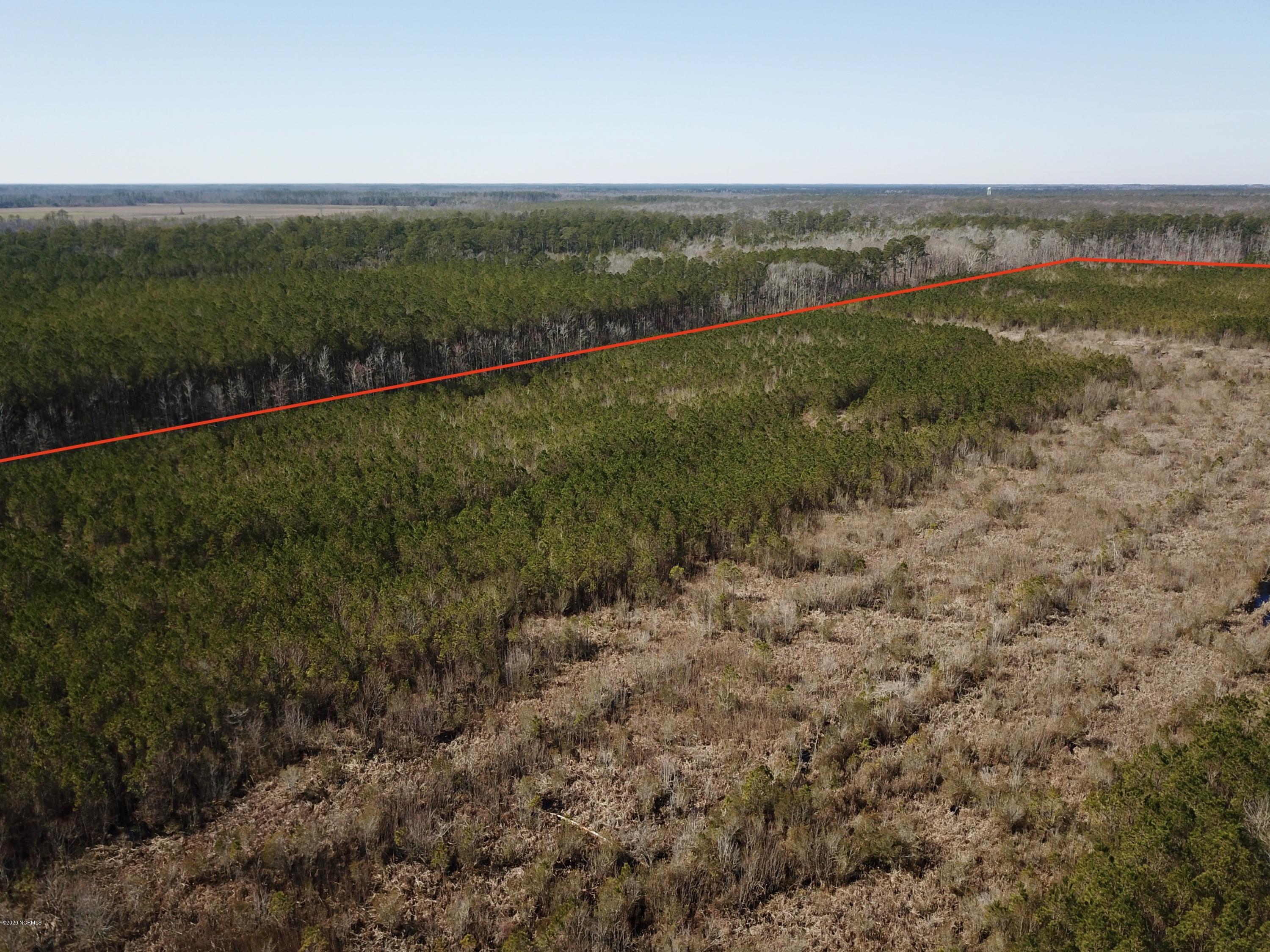 1 Goat Neck Road Columbia, NC 27925 - Photo 5 of 23 DJI_0016