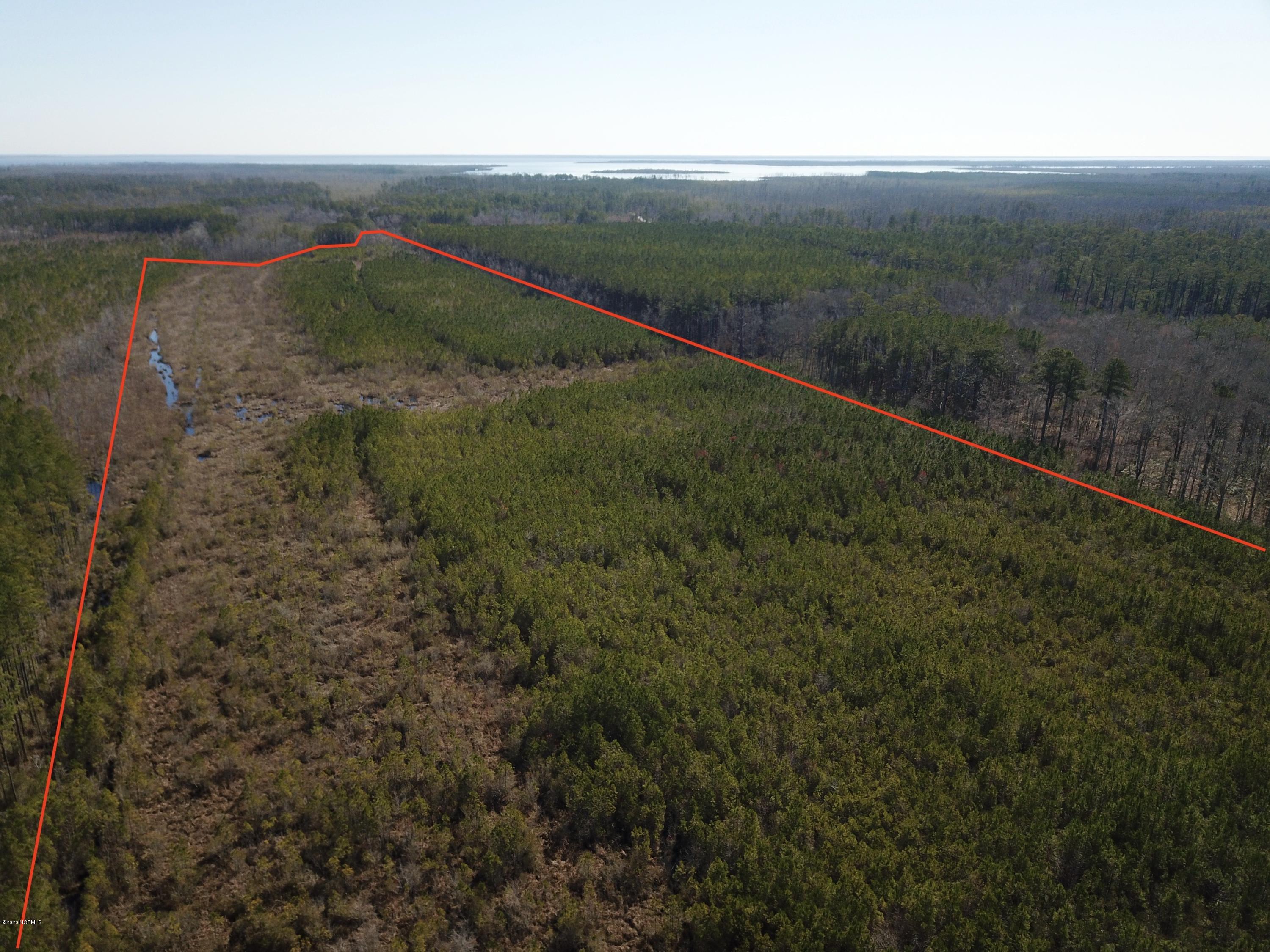 1 Goat Neck Road Columbia, NC 27925 - Photo 8 of 23 DJI_0019