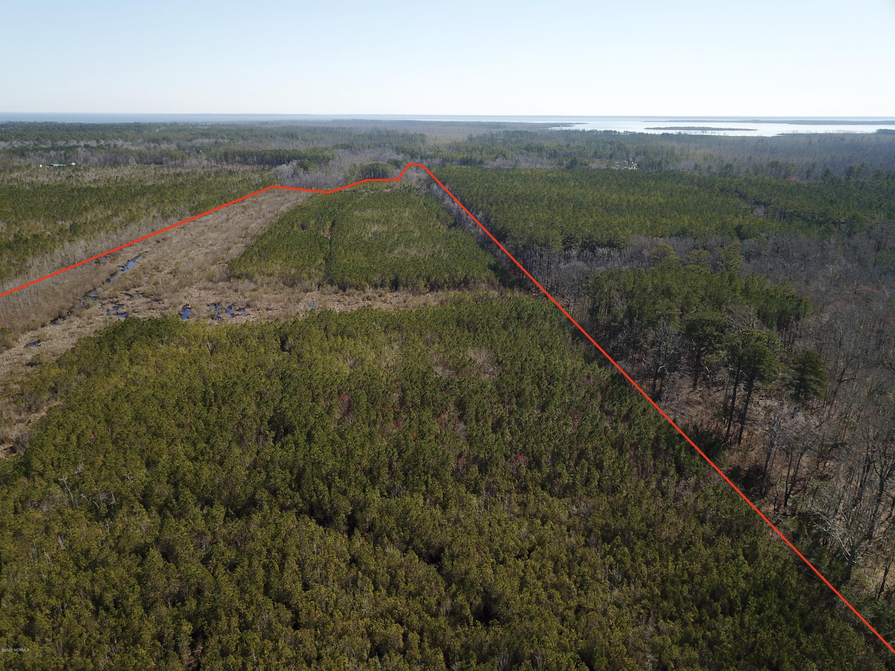 1 Goat Neck Road Columbia, NC 27925 - Photo 9 of 23 DJI_0020