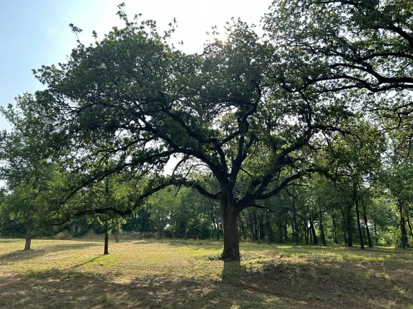 $1,239,000 | 8704 Buckner Lane, Keller, TX 76248