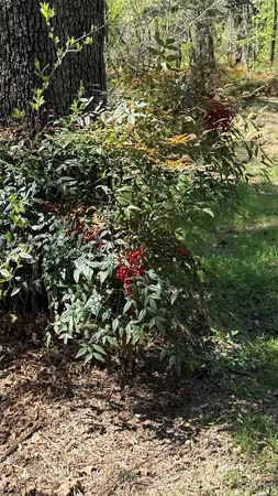 $1,239,000 | 8704 Buckner Lane, Keller, TX 76248