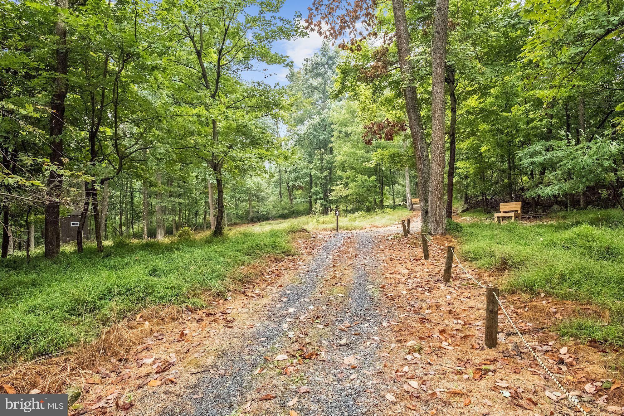 12906 Tower Road Thurmont, MD 21788 - Photo 61 of 86 Hiking Trails