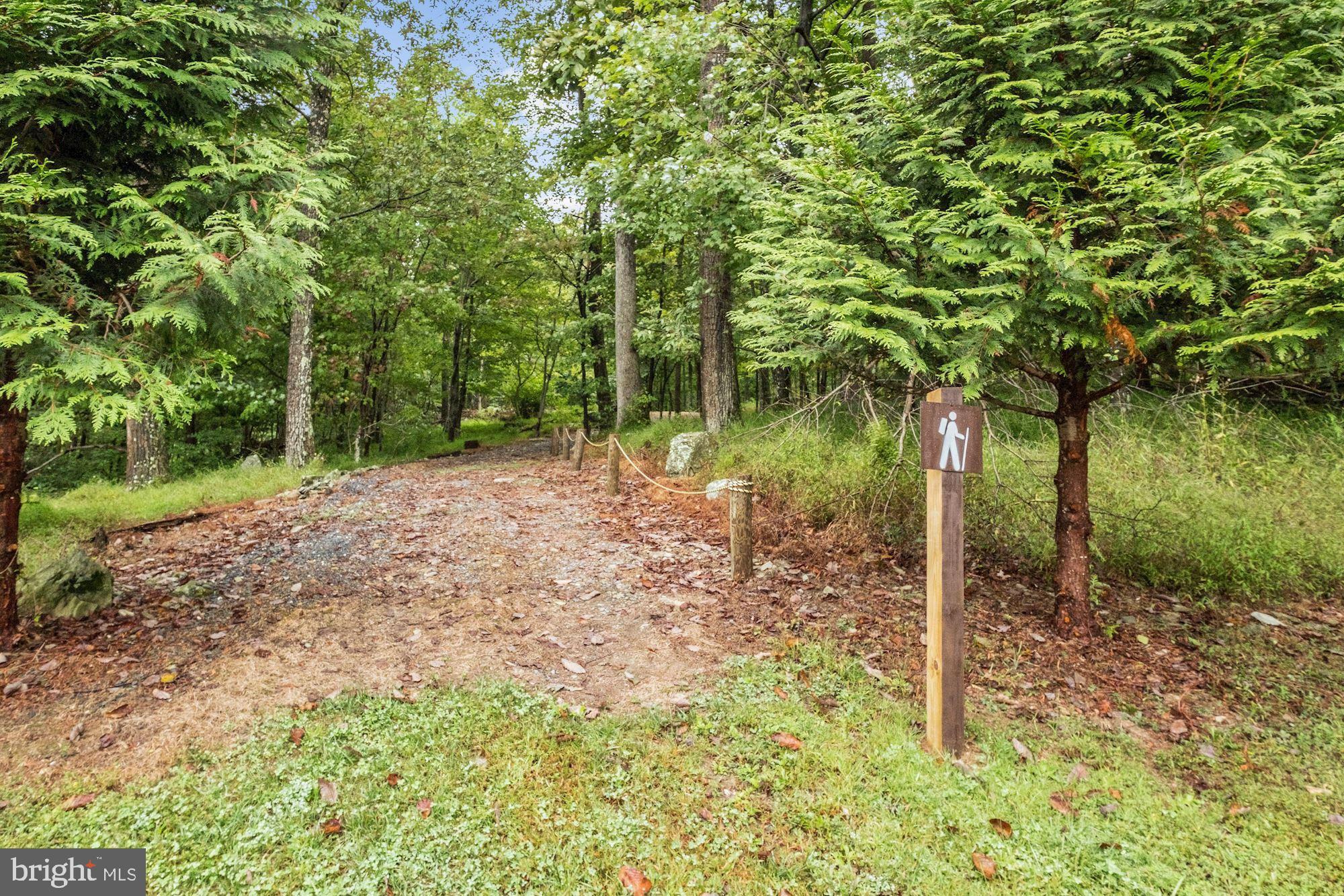 12906 Tower Road Thurmont, MD 21788 - Photo 62 of 86 Hiking Trails