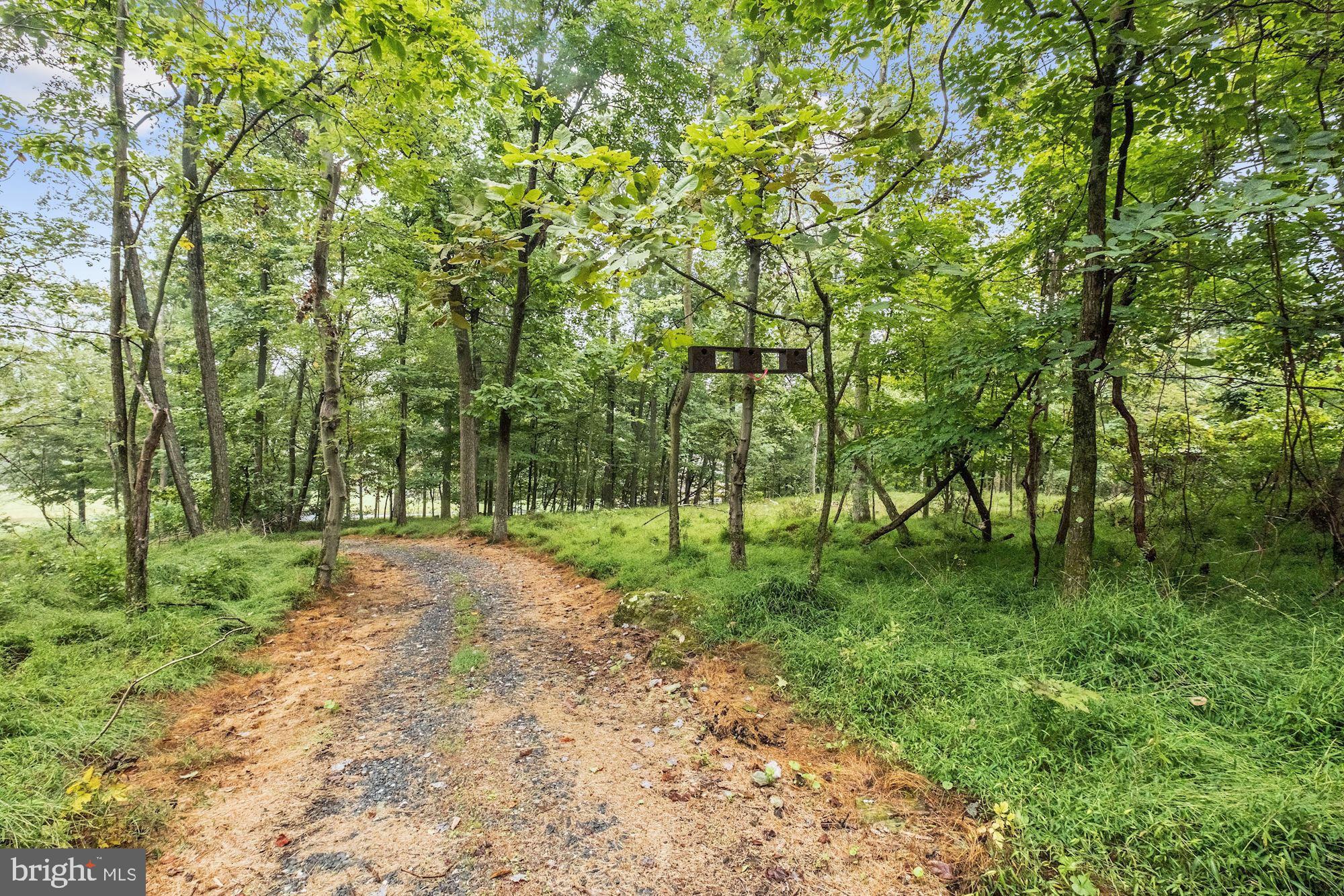12906 Tower Road Thurmont, MD 21788 - Photo 64 of 86 Hiking Trails