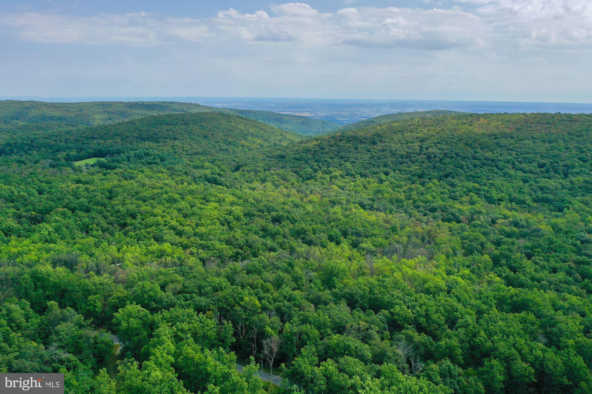 12906 Tower Road Thurmont, MD 21788 - Photo 81 of 86 Aerial View
