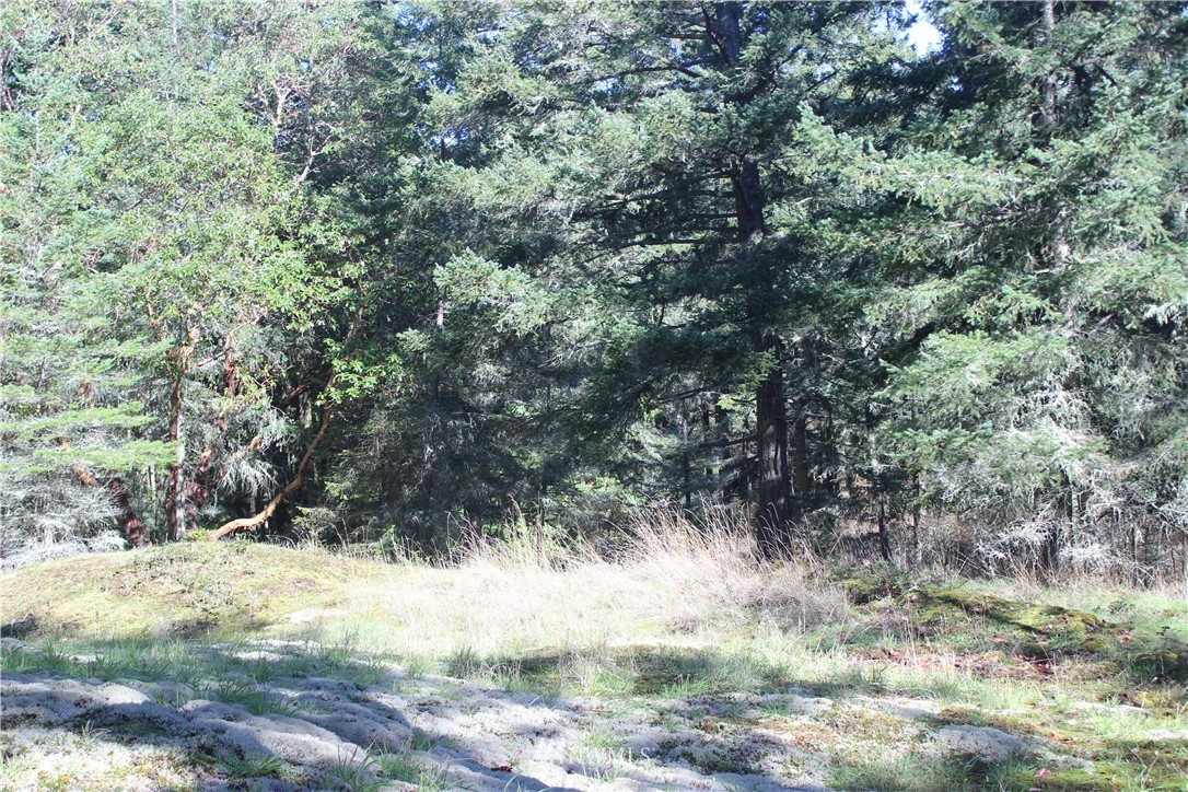 2832 Roche Harbor Road San Juan Island, WA 98250 - Photo 2 of 19 Gallery Image 2