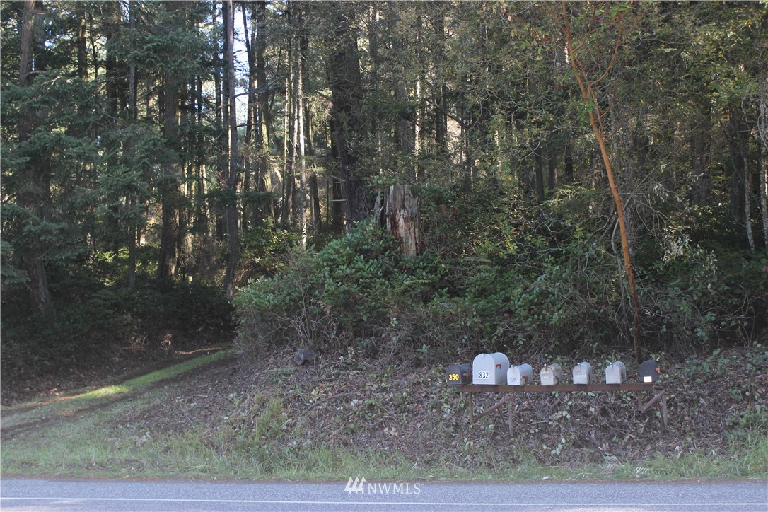 2832 Roche Harbor Road San Juan Island, WA 98250 - Photo 11 of 19 Gallery Image 11