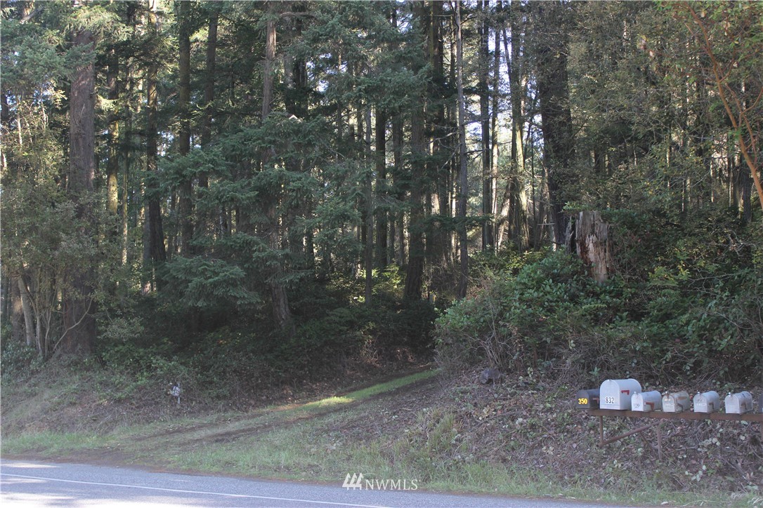 2832 Roche Harbor Road San Juan Island, WA 98250 - Photo 12 of 19 Gallery Image 12
