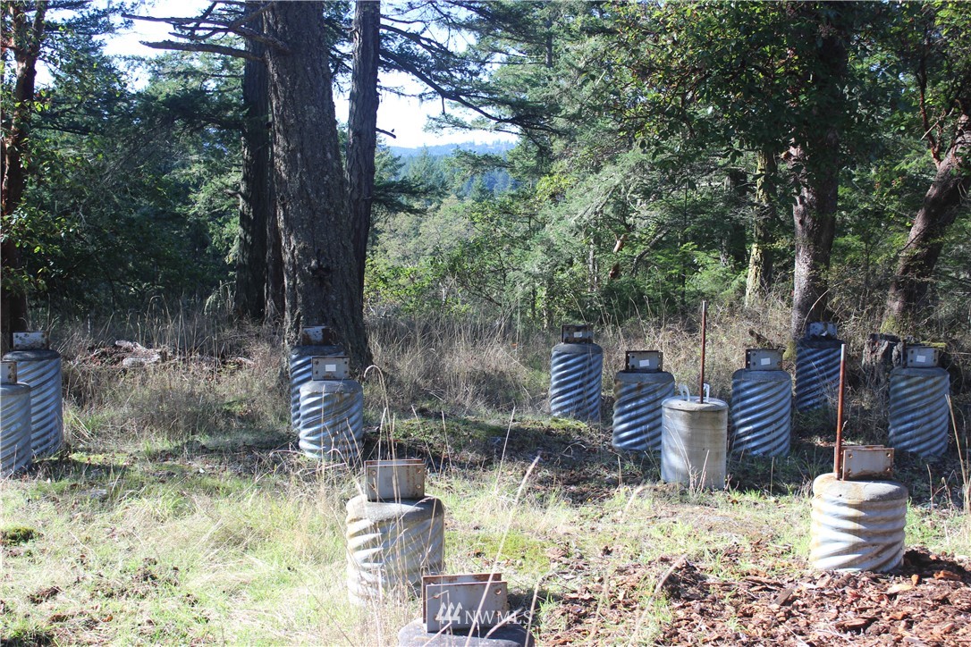2832 Roche Harbor Road San Juan Island, WA 98250 - Photo 13 of 19 Gallery Image 13
