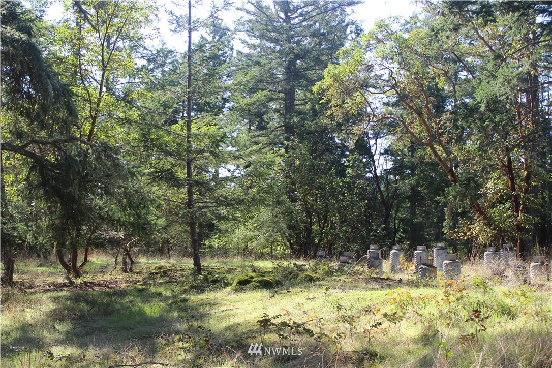 2832 Roche Harbor Road San Juan Island, WA 98250 - Photo 14 of 19 Gallery Image 14