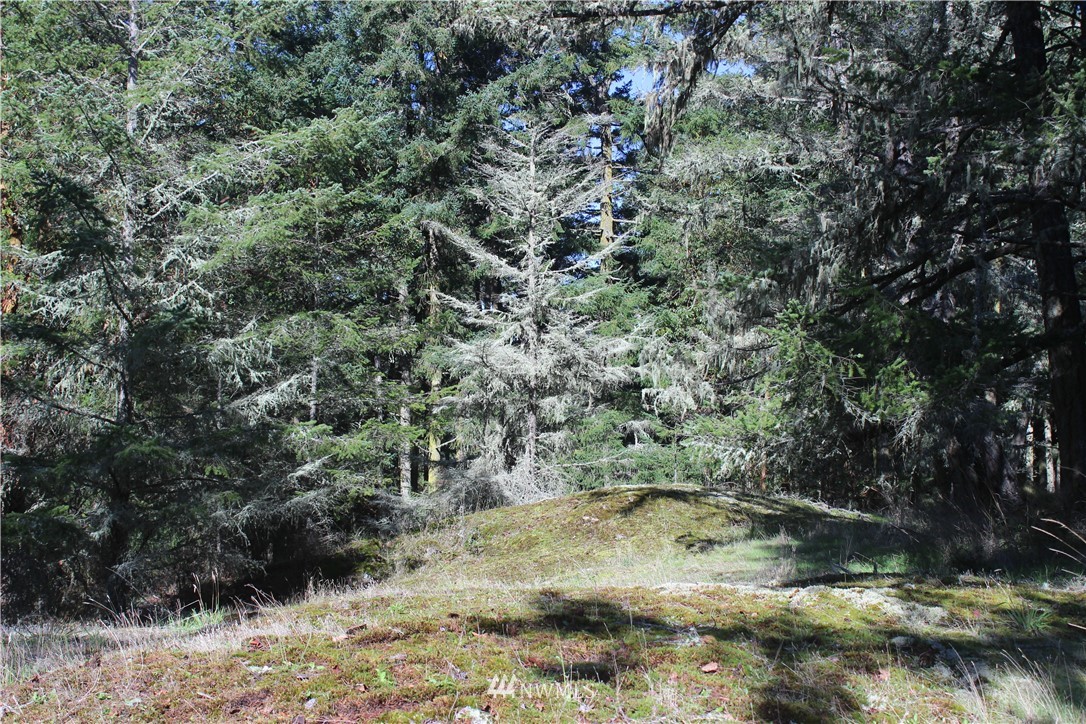 2832 Roche Harbor Road San Juan Island, WA 98250 - Photo 15 of 19 Gallery Image 15