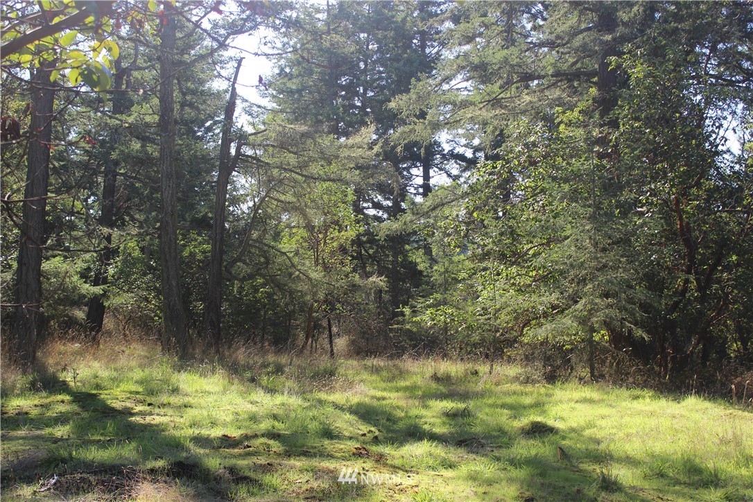 2832 Roche Harbor Road San Juan Island, WA 98250 - Photo 16 of 19 Gallery Image 16