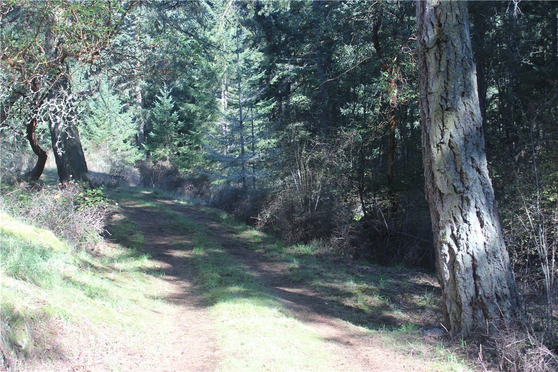 2832 Roche Harbor Road San Juan Island, WA 98250 - Photo 17 of 19 Gallery Image 17