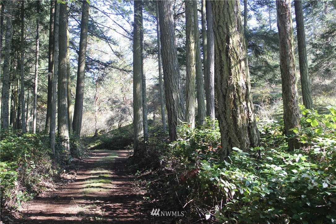 2832 Roche Harbor Road San Juan Island, WA 98250 - Photo 18 of 19 Gallery Image 18