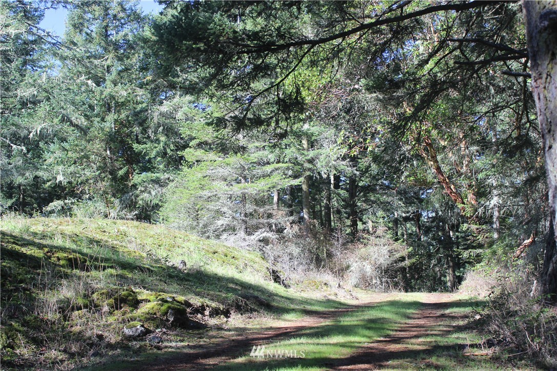 2832 Roche Harbor Road San Juan Island, WA 98250 - Photo 4 of 19 Gallery Image 4