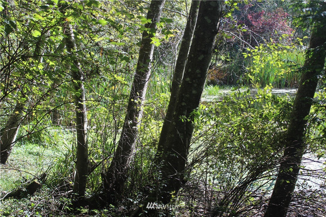 2832 Roche Harbor Road San Juan Island, WA 98250 - Photo 5 of 19 Gallery Image 5