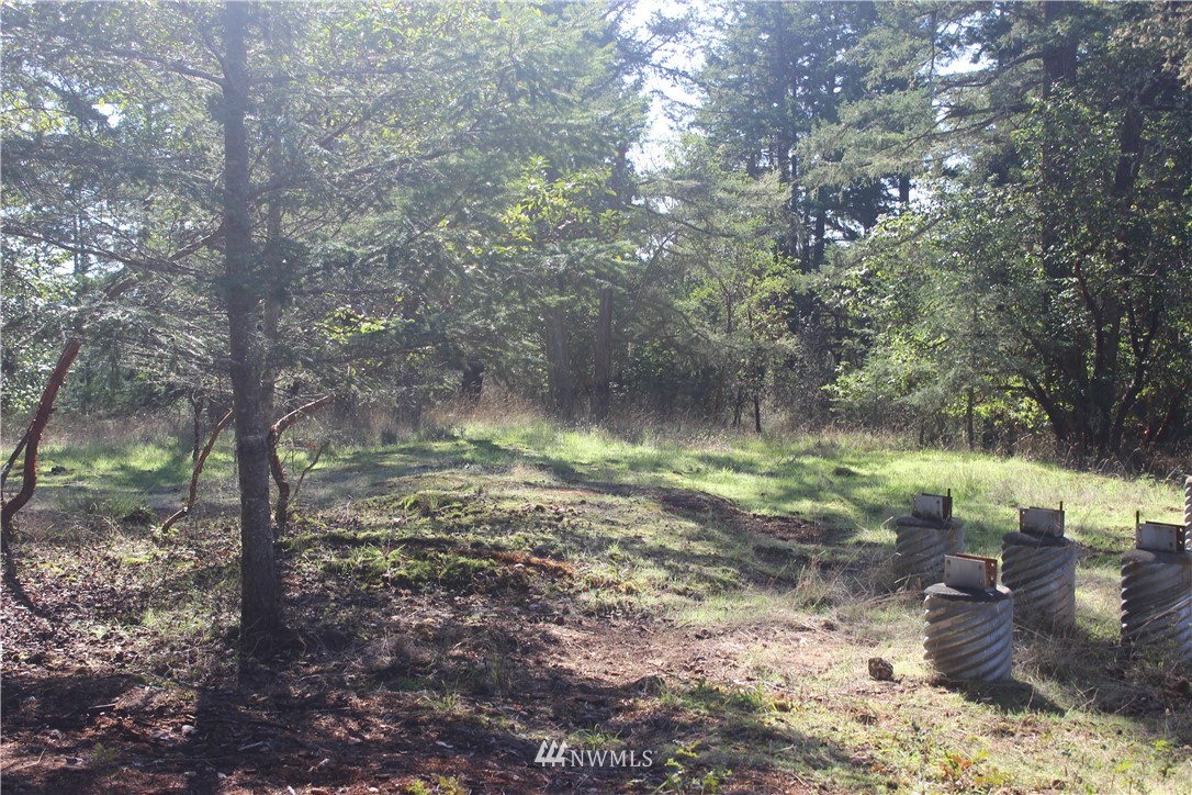 2832 Roche Harbor Road San Juan Island, WA 98250 - Photo 8 of 19 Gallery Image 8