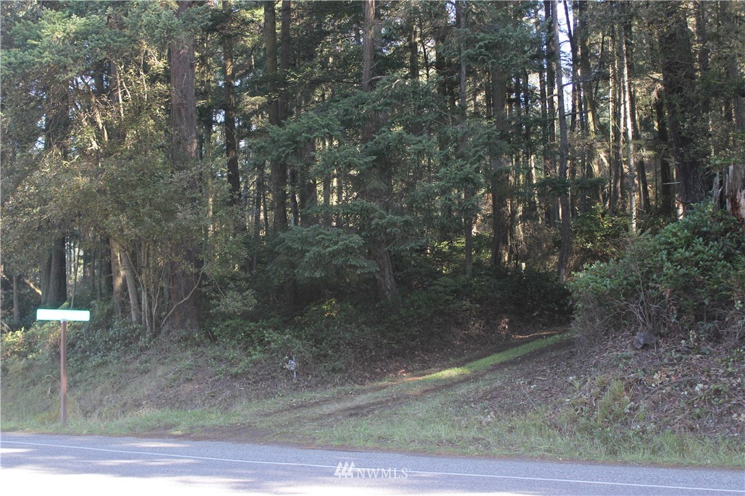 2832 Roche Harbor Road San Juan Island, WA 98250 - Photo 10 of 19 Gallery Image 10