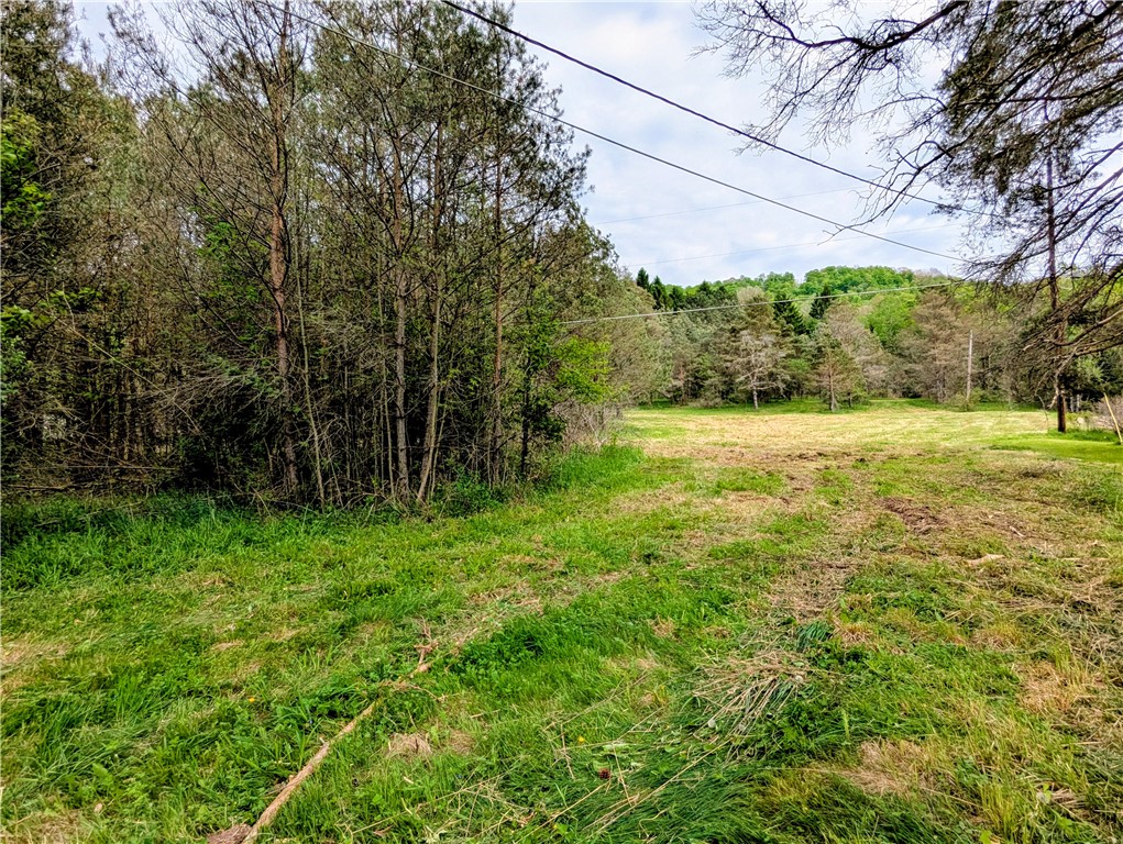 0 Two 2 Mile Road Port Allegany, PA 16743 - Photo 9 of 29