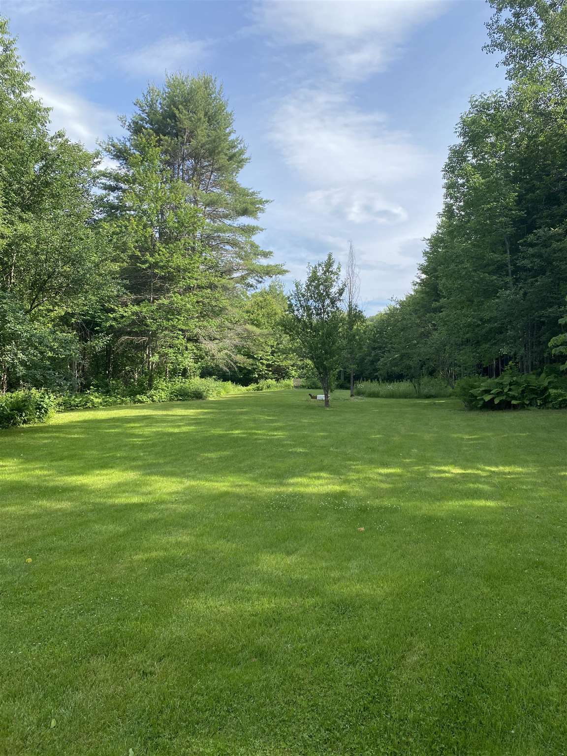 581 Sewall Brook Road Royalton, VT 05068 - Photo 28 of 37 Gallery Image 28