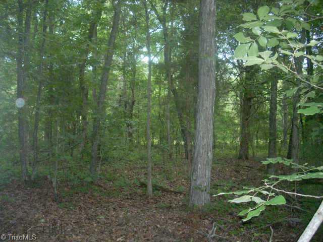 Other. Glen Oaks, Lot 31 Interior view