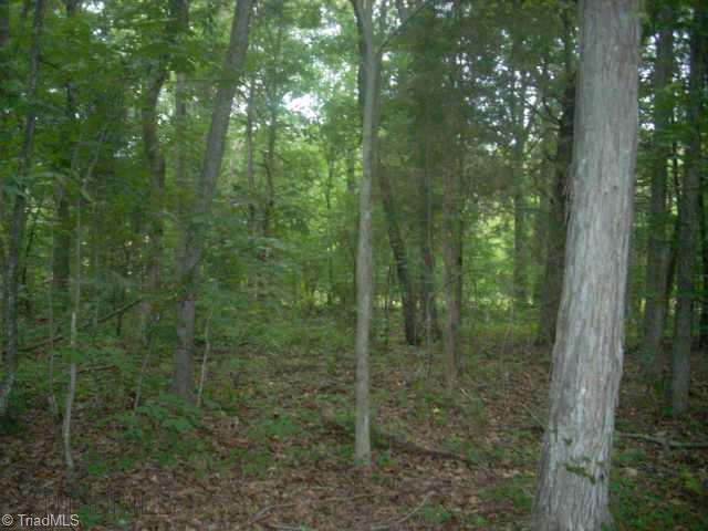 Other. Glen Oaks, Lot 31 Interior view. Note shag bark Hickory Tree!
