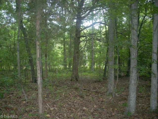 7116 Ludgate Road Gibsonville, NC 27249 - Photo 8 of 9 Other. Glen Oaks, wooded interior view facing street