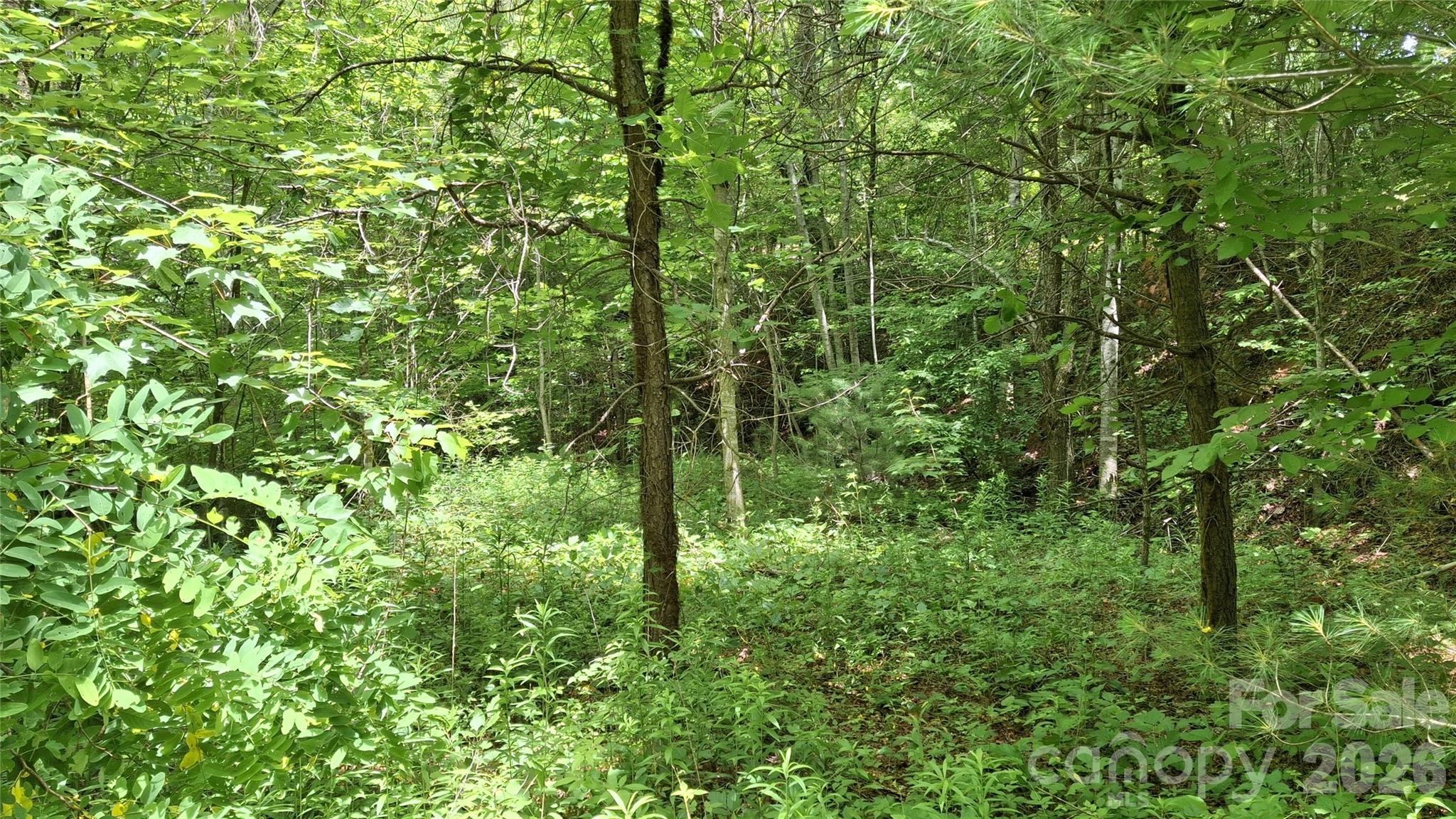 491 Signal Ridge, Unit 25 Sylva, NC 28779 - Photo 7 of 17