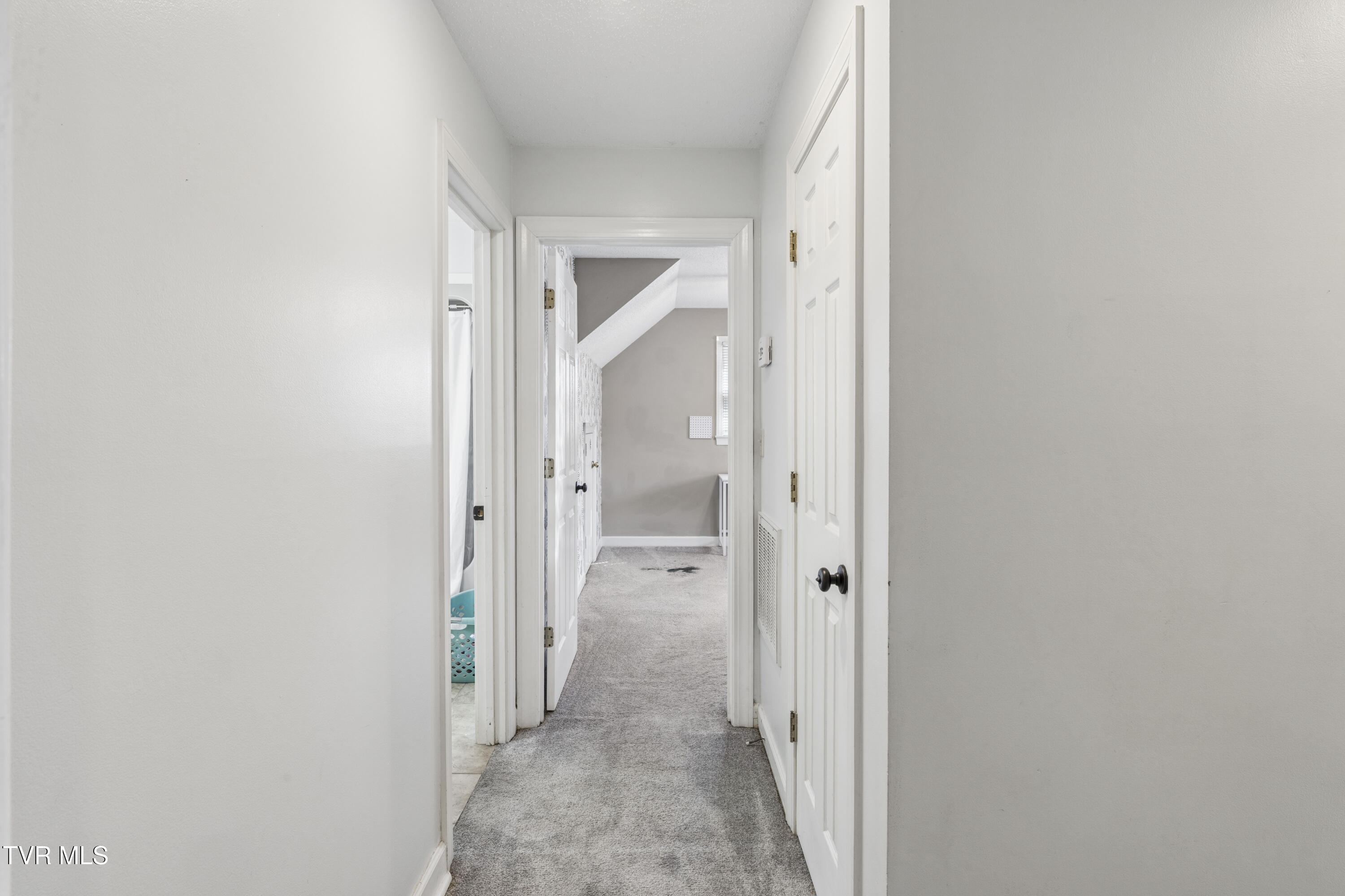 802 Chestnut Avenue Erwin, TN 37650 - Photo 35 of 78 ChestnutAve--32