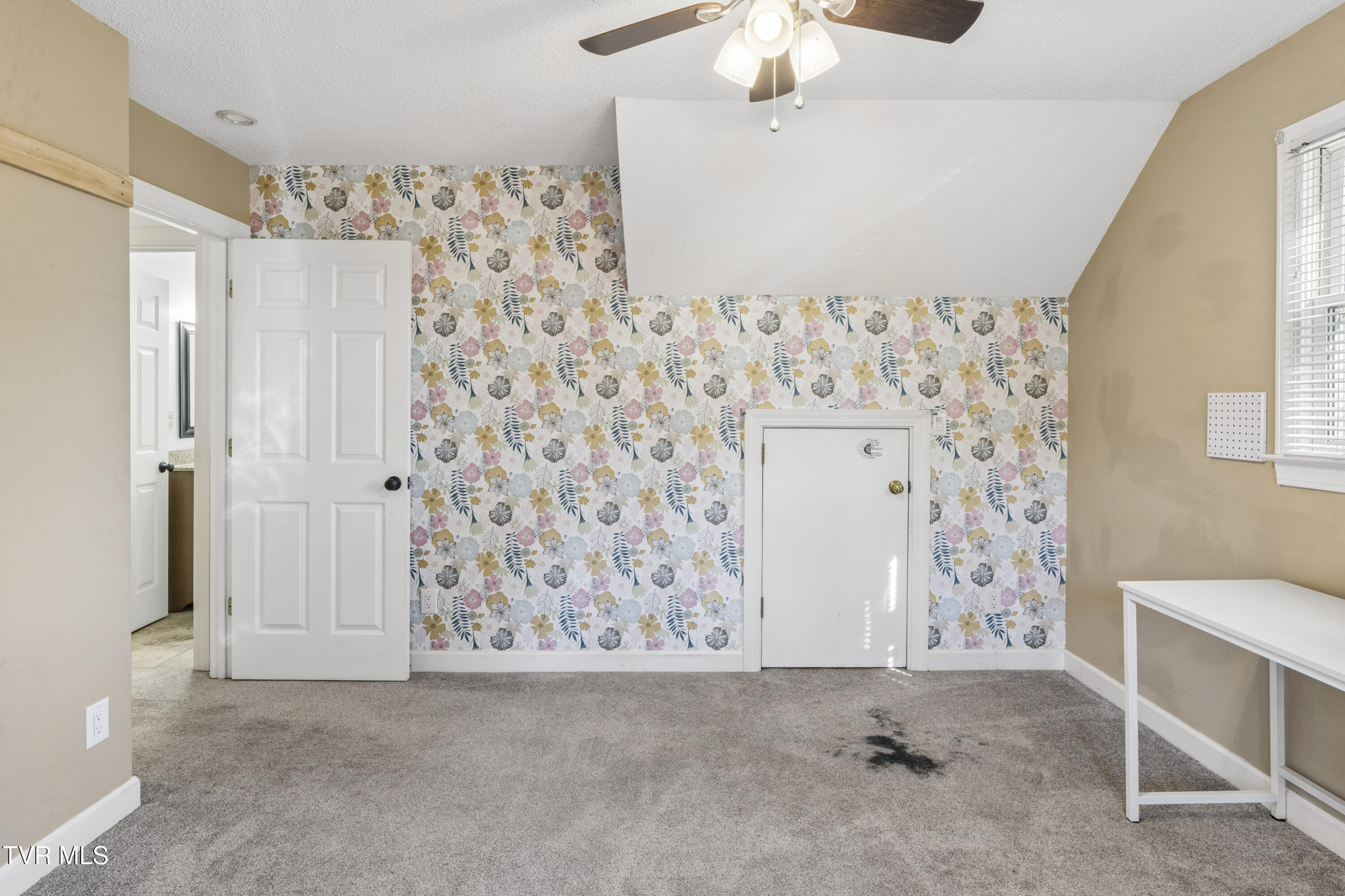 802 Chestnut Avenue Erwin, TN 37650 - Photo 42 of 78 ChestnutAve--39