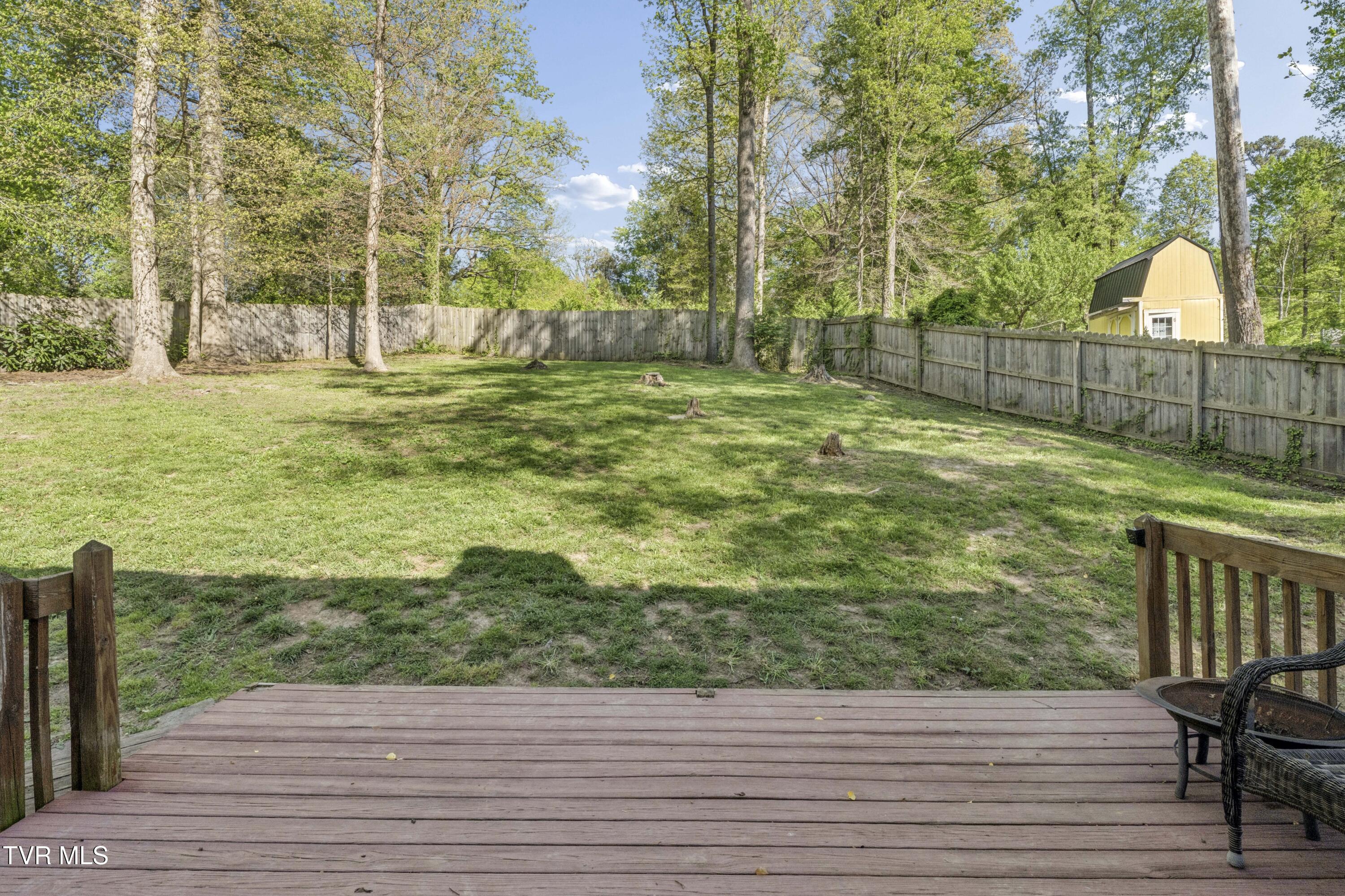 802 Chestnut Avenue Erwin, TN 37650 - Photo 53 of 78 ChestnutAve--50