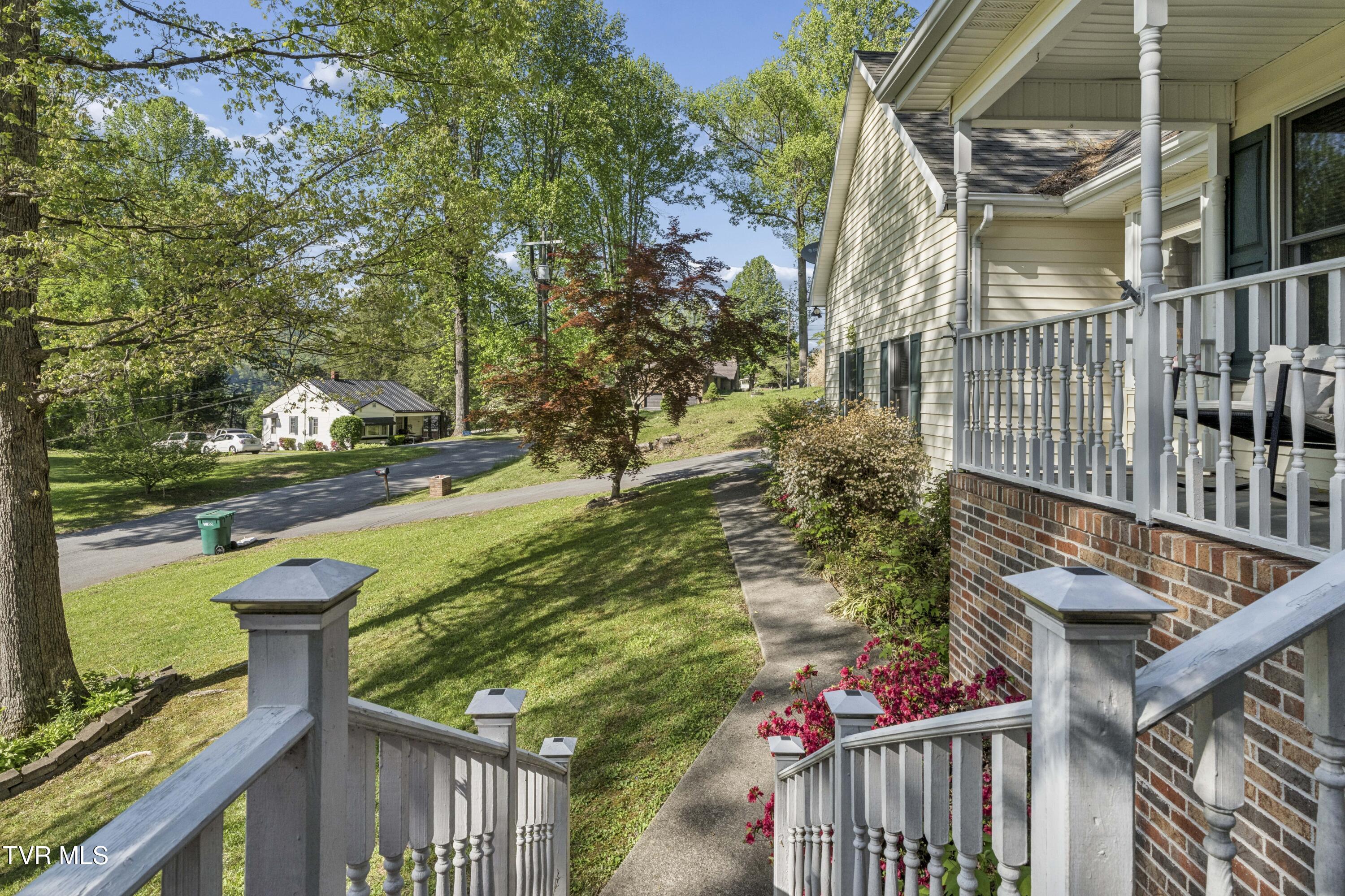 802 Chestnut Avenue Erwin, TN 37650 - Photo 59 of 78 ChestnutAve--57