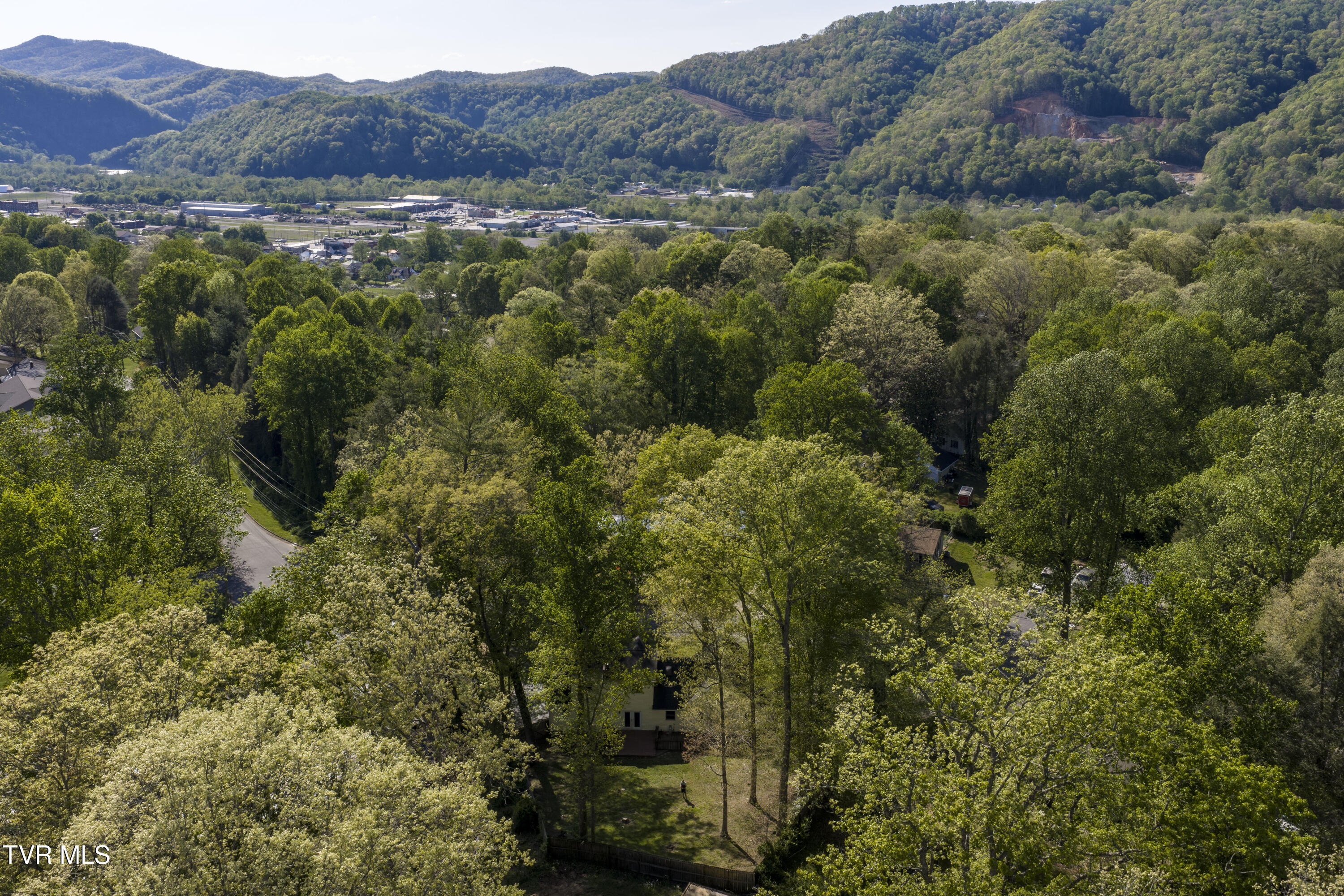 802 Chestnut Avenue Erwin, TN 37650 - Photo 65 of 78 Chestnut-Aerials-2