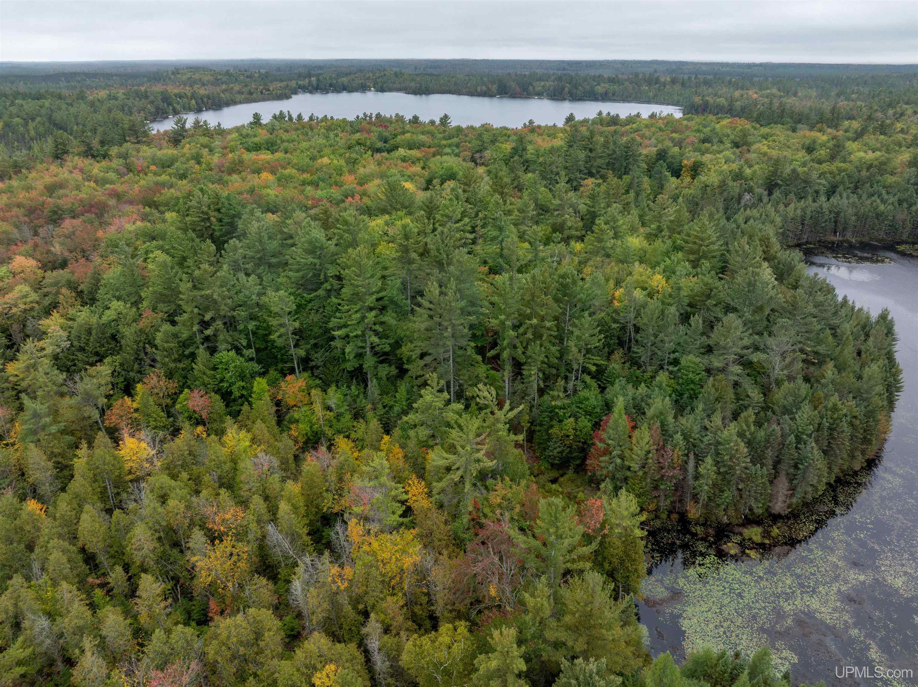 Tbd Leatherleaf Lane Munising, MI 49862 - Photo 23 of 24