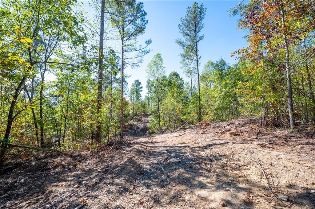 3801 Hwy 140 Ne Rydal Ga 30171 Northeast Rydal, GA 30171 - Photo 11 of 14 a view of a yard with plants and trees