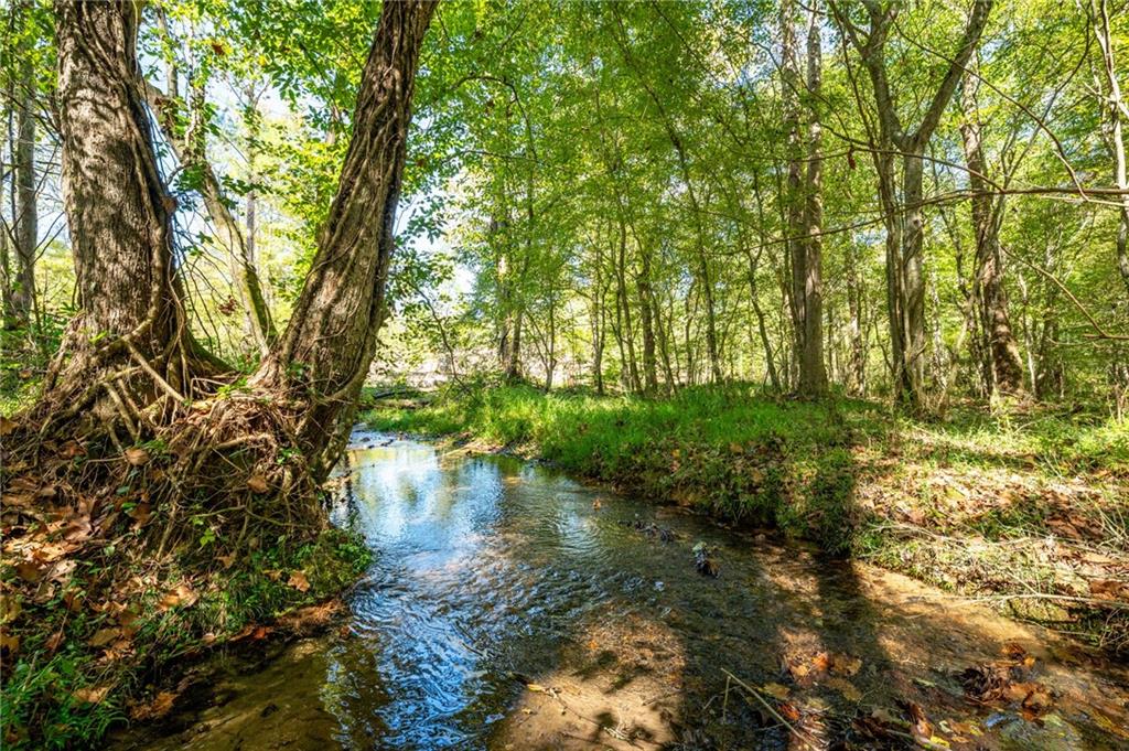 3801 Hwy 140 Ne Rydal Ga 30171 Northeast Rydal, GA 30171 - Photo 12 of 14 a backyard of a house with lots of green space