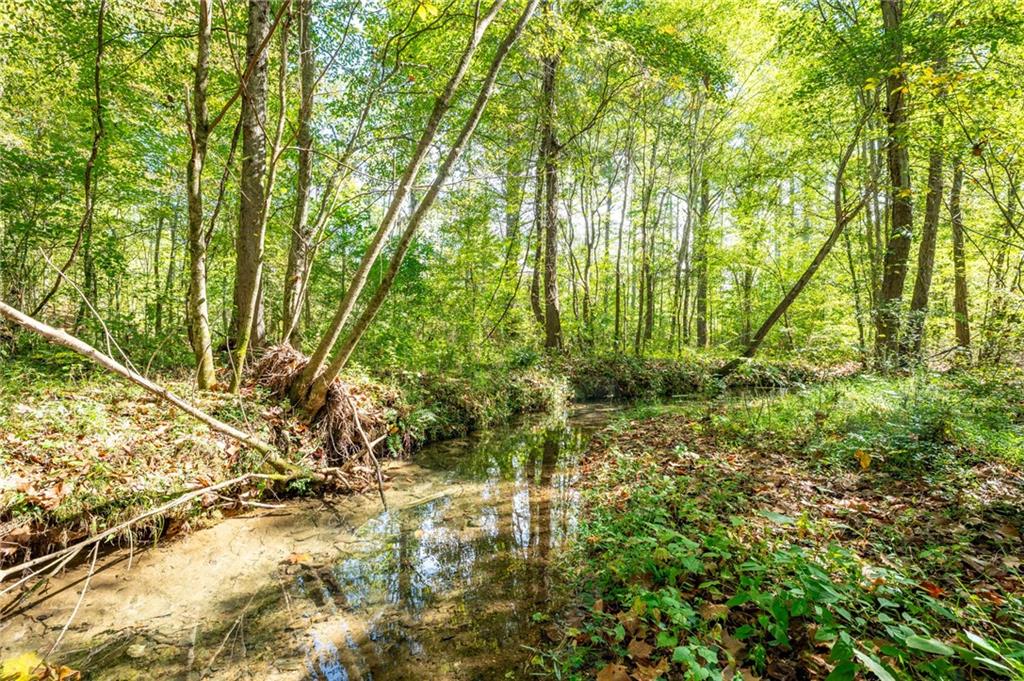 3801 Hwy 140 Ne Rydal Ga 30171 Northeast Rydal, GA 30171 - Photo 13 of 14 a view of outdoor space and a yard