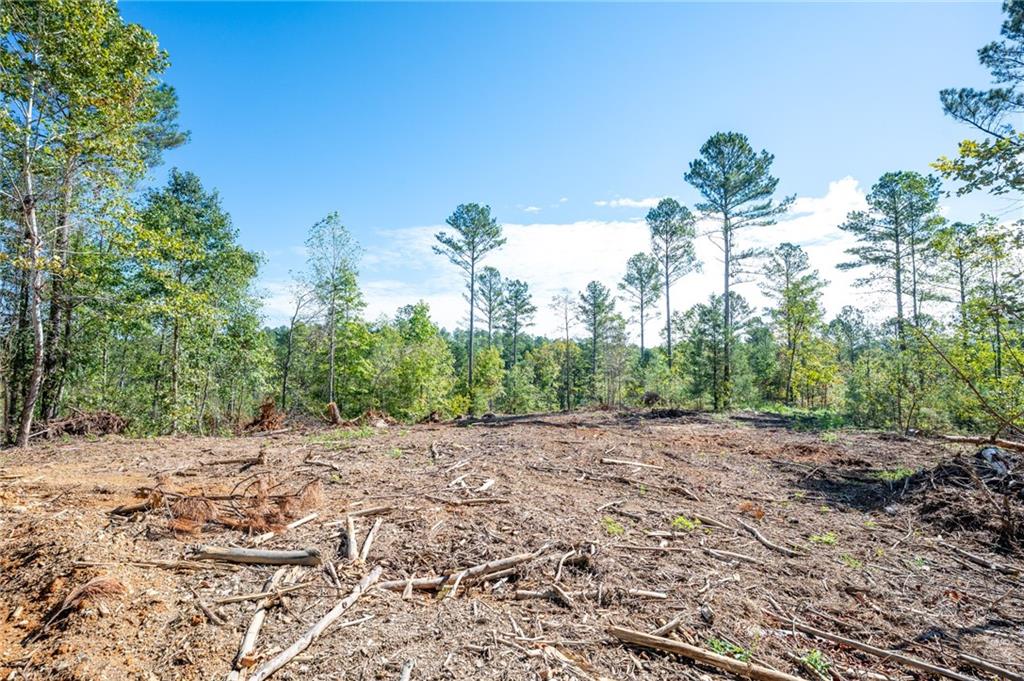 3801 Hwy 140 Ne Rydal Ga 30171 Northeast Rydal, GA 30171 - Photo 3 of 14 a view of a dirt road with trees in the background