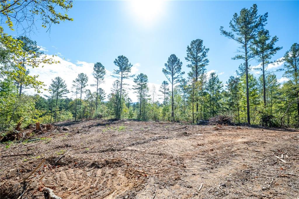 3801 Hwy 140 Ne Rydal Ga 30171 Northeast Rydal, GA 30171 - Photo 4 of 14 a view of a dirt road with trees in the background