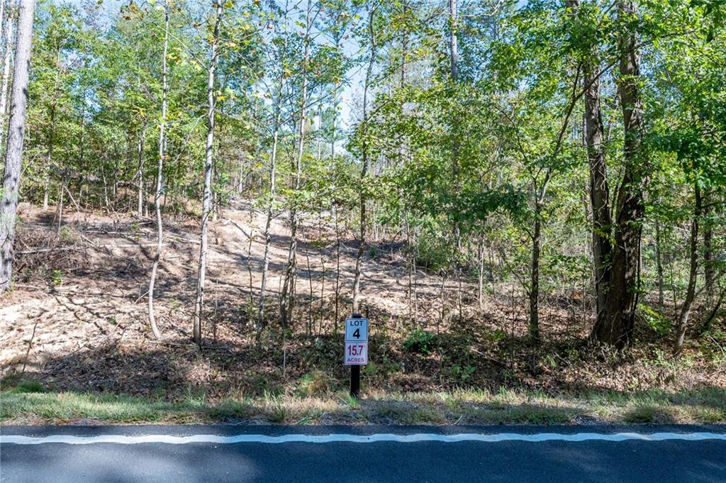 3801 Hwy 140 Ne Rydal Ga 30171 Northeast Rydal, GA 30171 - Photo 7 of 14 a view of a forest filled with trees