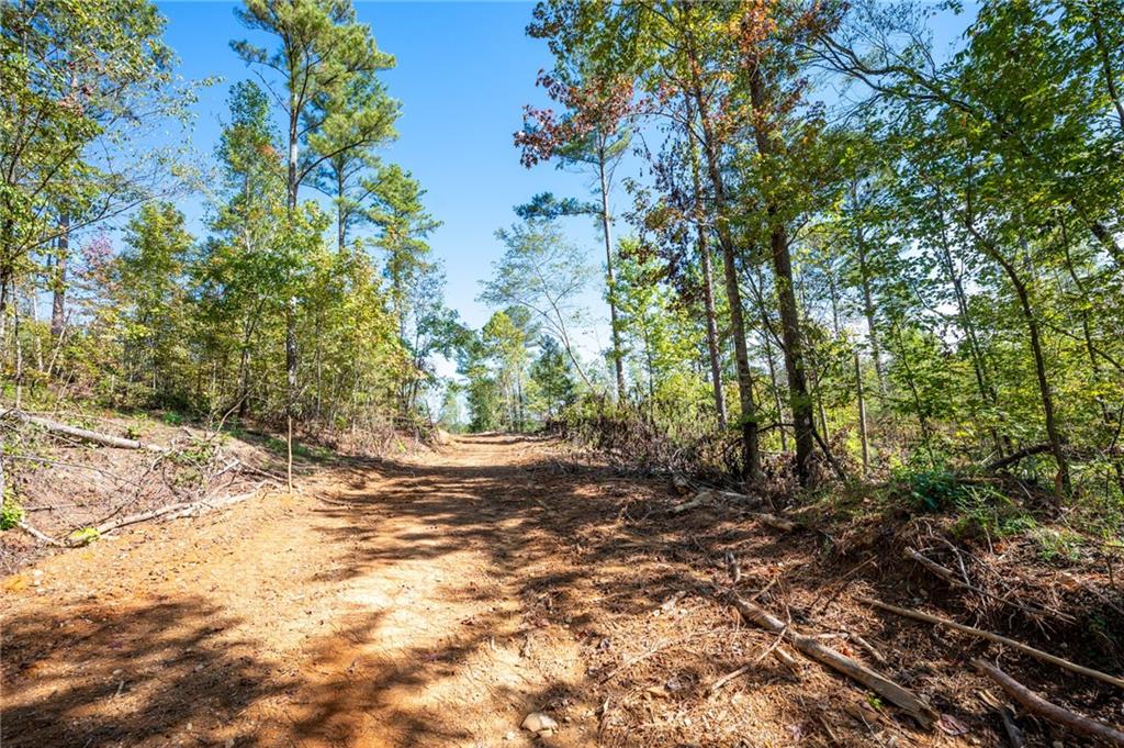 3801 Hwy 140 Ne Rydal Ga 30171 Northeast Rydal, GA 30171 - Photo 8 of 14 a view of a yard with plants and trees