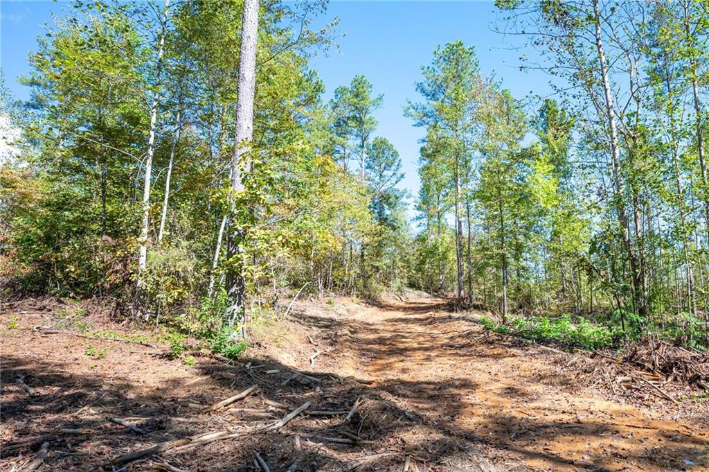 3801 Hwy 140 Ne Rydal Ga 30171 Northeast Rydal, GA 30171 - Photo 9 of 14 a view of outdoor space and trees