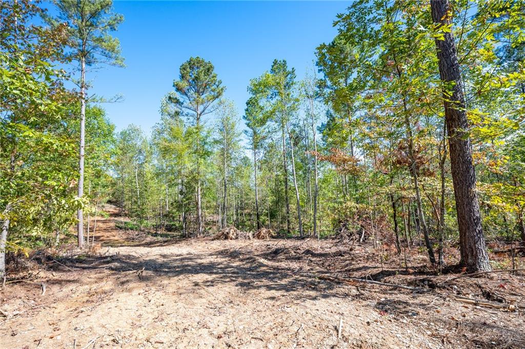 3801 Hwy 140 Ne Rydal Ga 30171 Northeast Rydal, GA 30171 - Photo 10 of 14 a view of outdoor space and trees