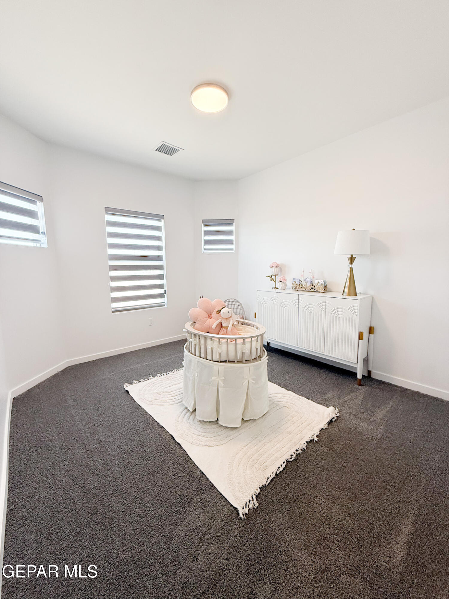 13292 Coldham Street El Paso, TX 79928 - Photo 13 of 18 1000102668