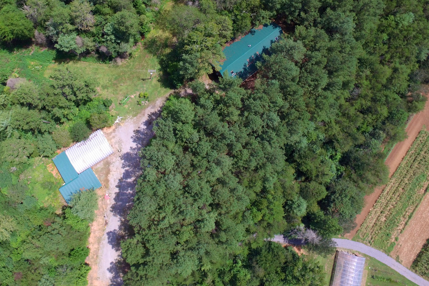 270 Price Road Reliance, TN 37369 - Photo 14 of 49 270 Price Rd Reliance TN 37369-large-044